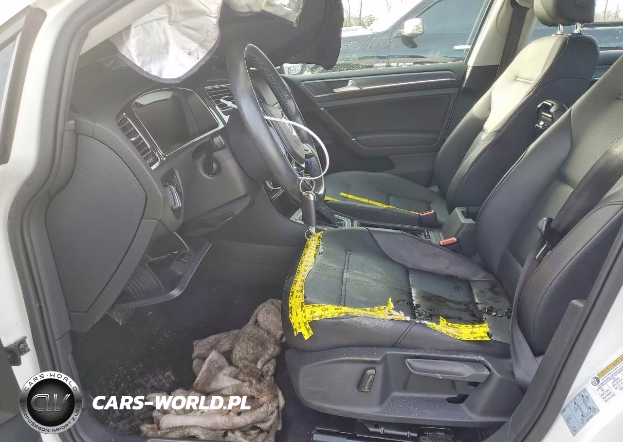 2019 Volkswagen E-Golf Sel Premium VIN:WVWPR7AU1KW916071 - 7