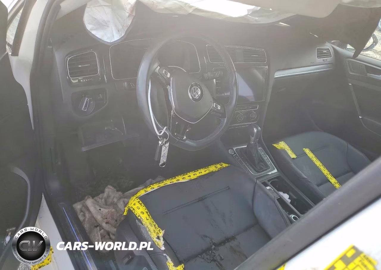 2019 Volkswagen E-Golf Sel Premium VIN:WVWPR7AU1KW916071 - 8