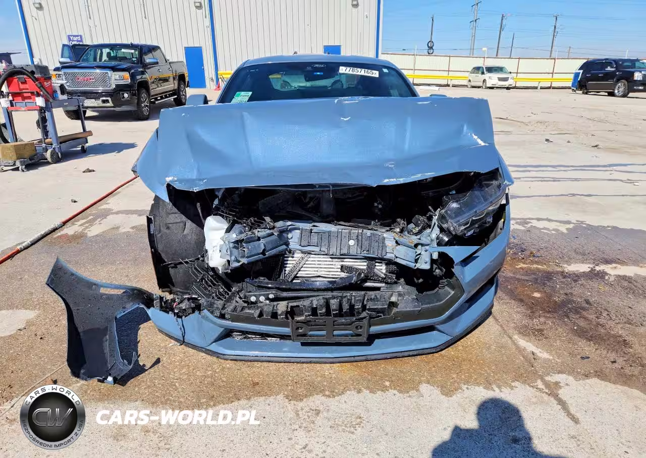 2024 Ford Mustang VIN:1FA6P8TH1R5134494 - 5