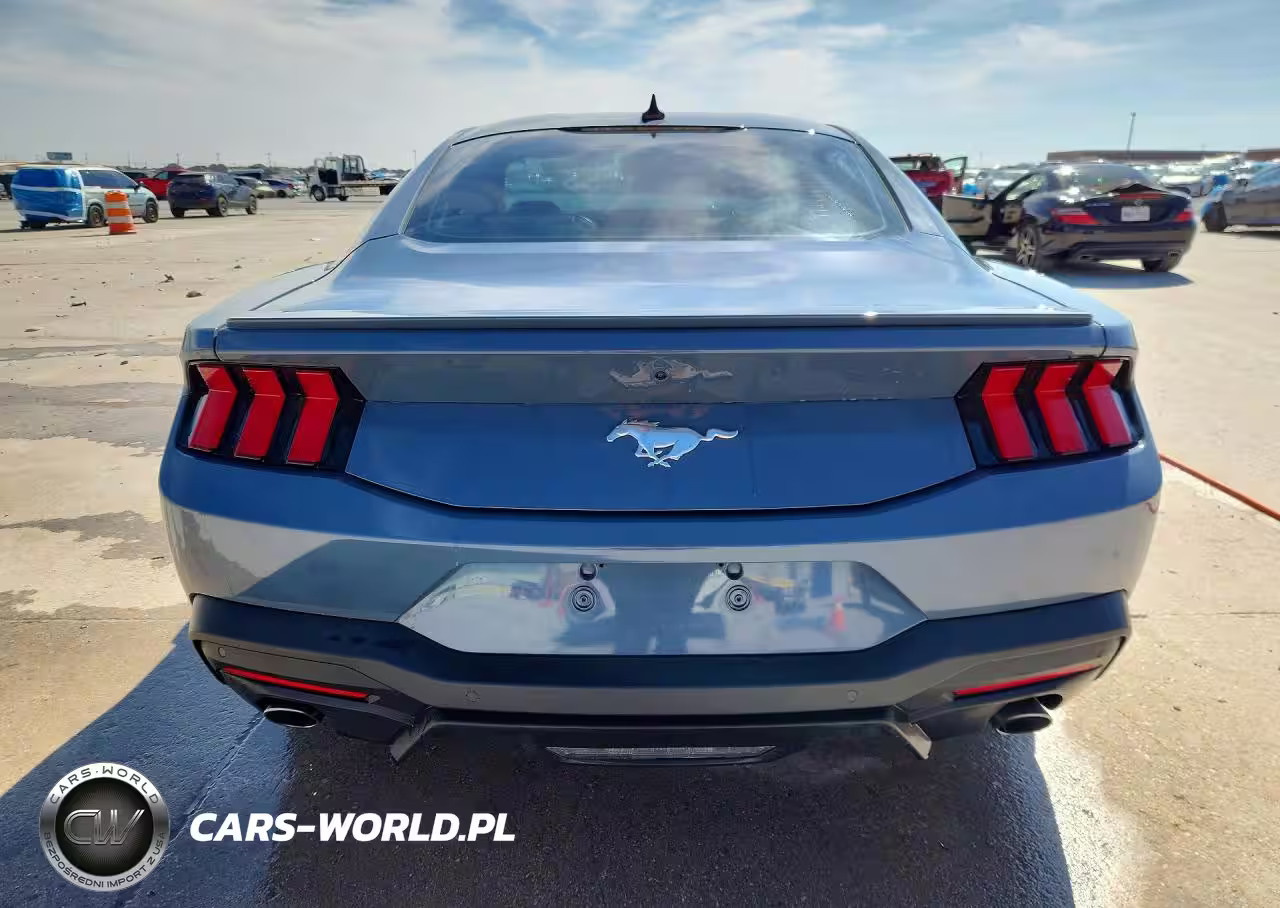 2024 Ford Mustang VIN:1FA6P8TH1R5134494 - 6
