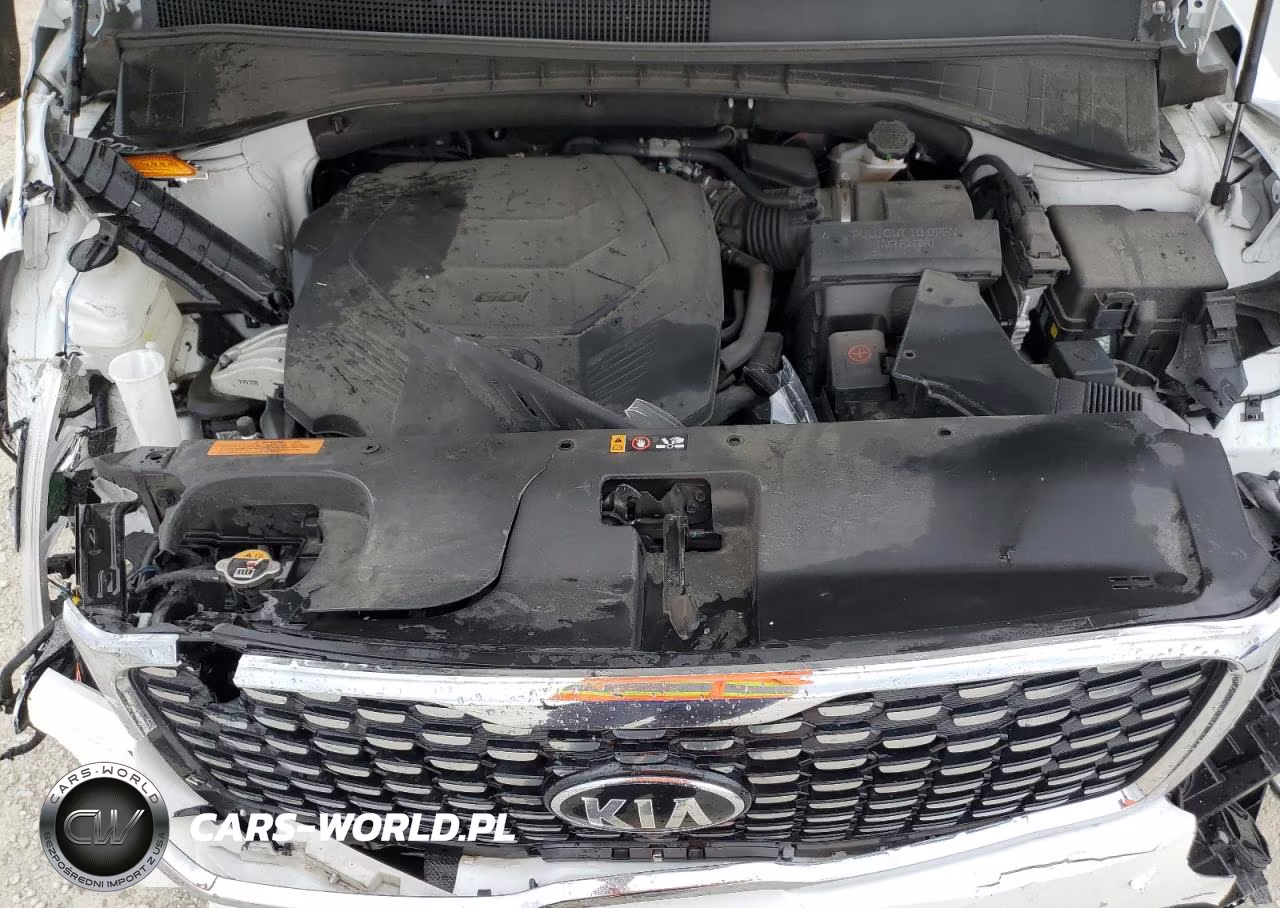2020 Kia Sorento Sx VIN:5XYPKDA51LG669094 - 12