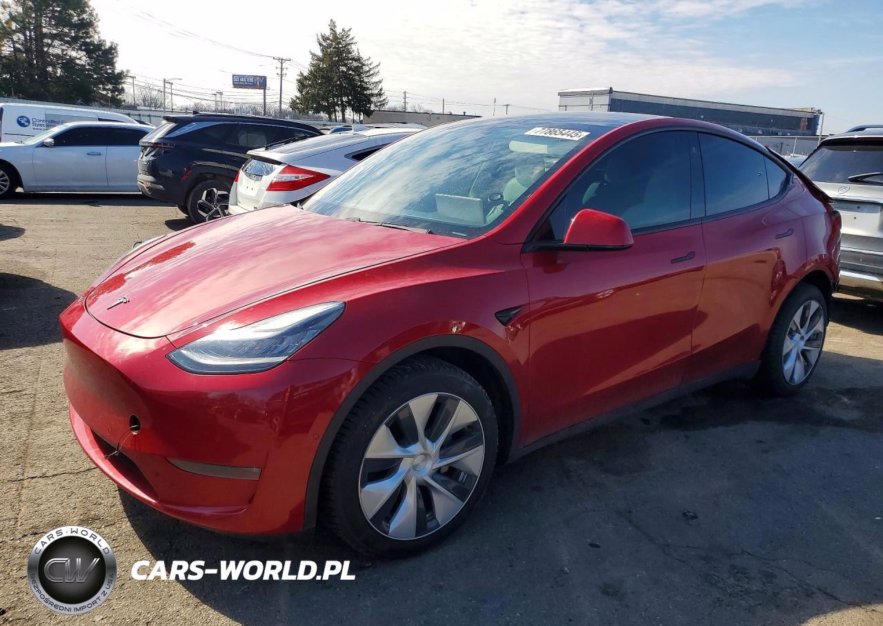 2021 Tesla Model Y
