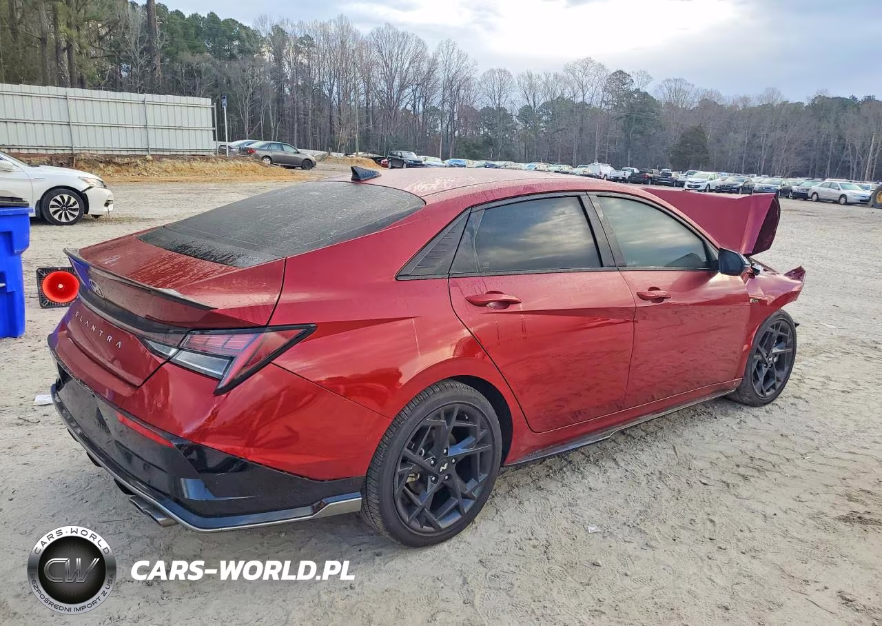 2025 Hyundai Elantra N Line VIN:KMHLR4DF7SU015451 - 3