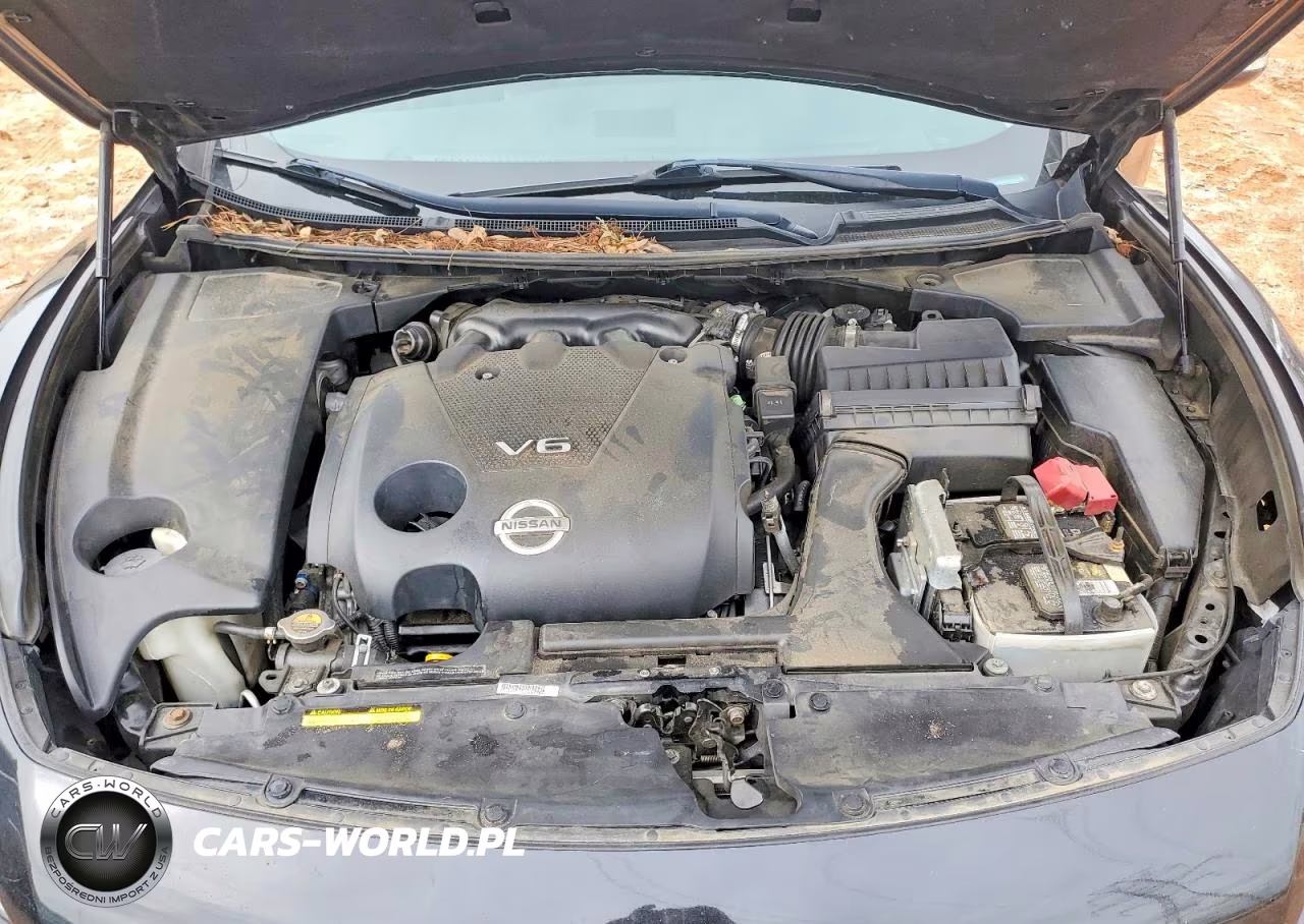 2011 Nissan Maxima S VIN:1N4AA5AP1BC862905 - 11
