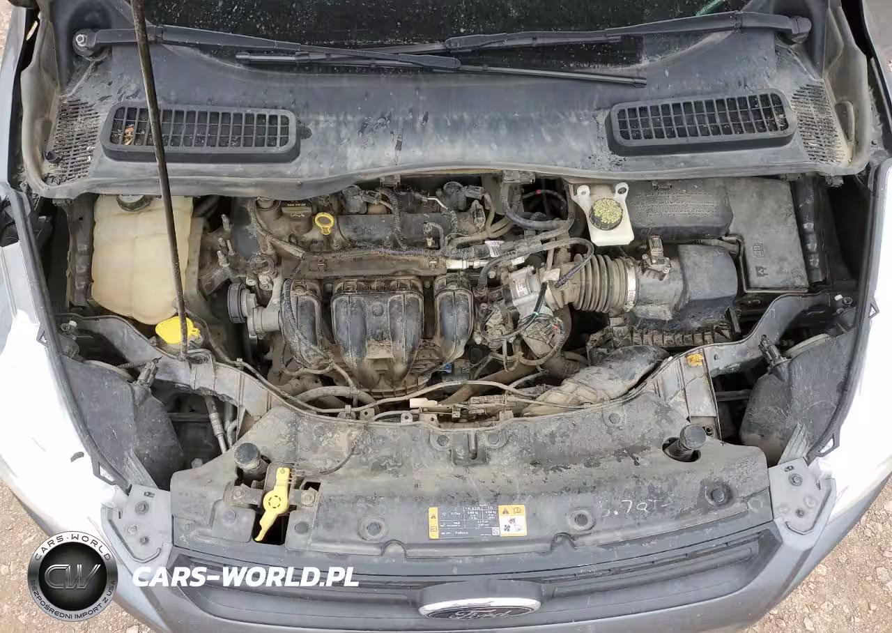 FORD ESCAPE S VIN:1FMCU0F71DUA60949 - 12