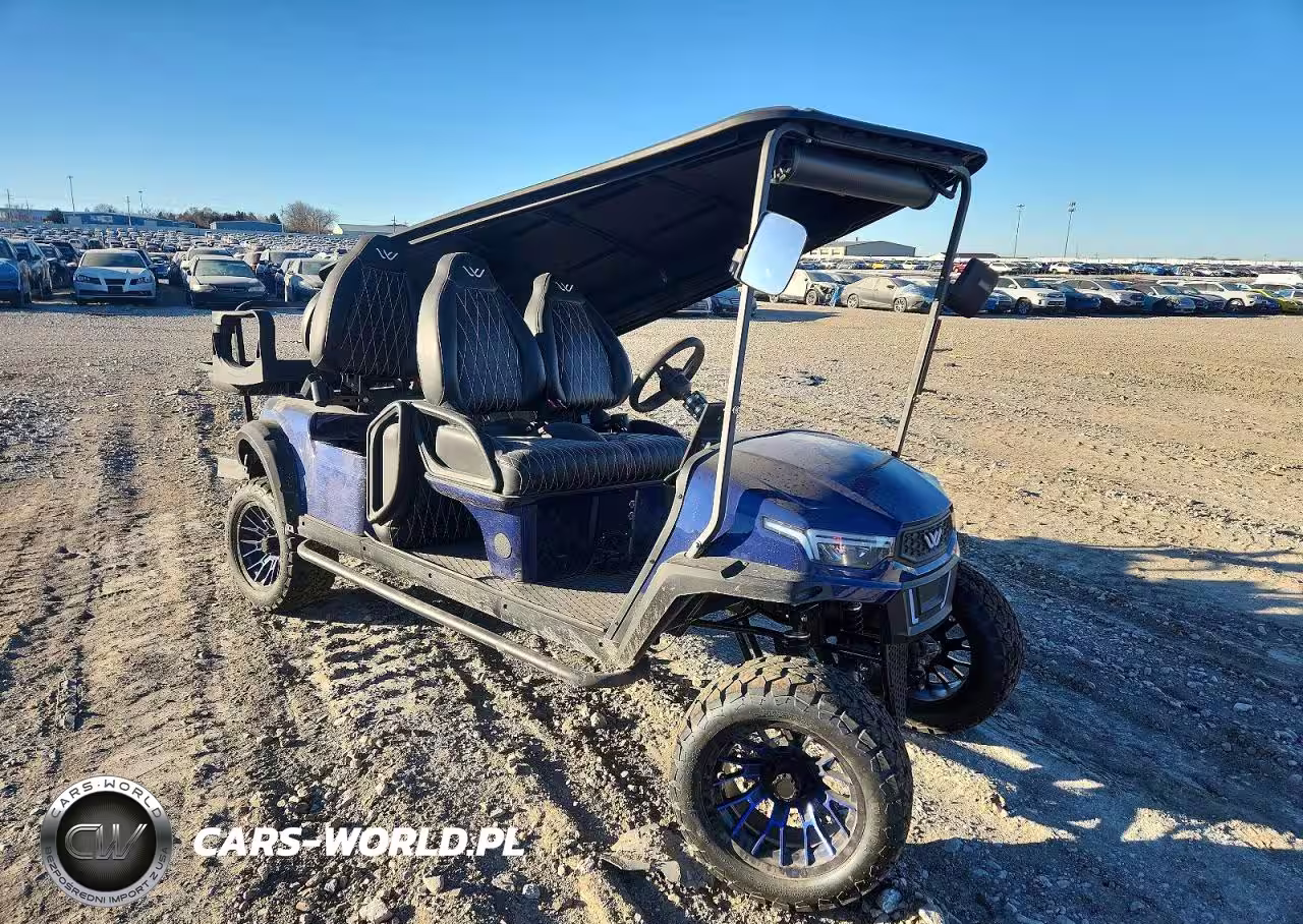 2025 Golf Cart