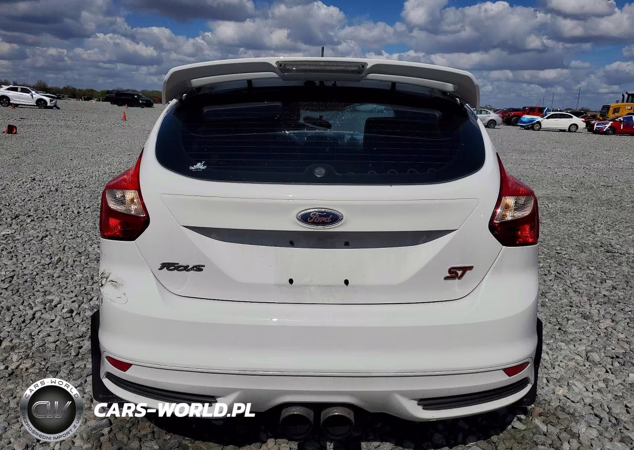 2013 Ford Focus St VIN:1FADP3L97DL181553 - 6