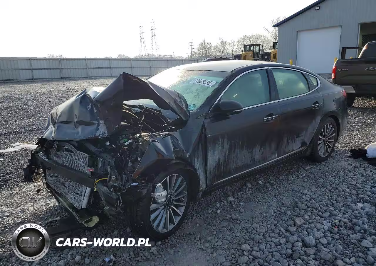 2019 Kia Cadenza Premium