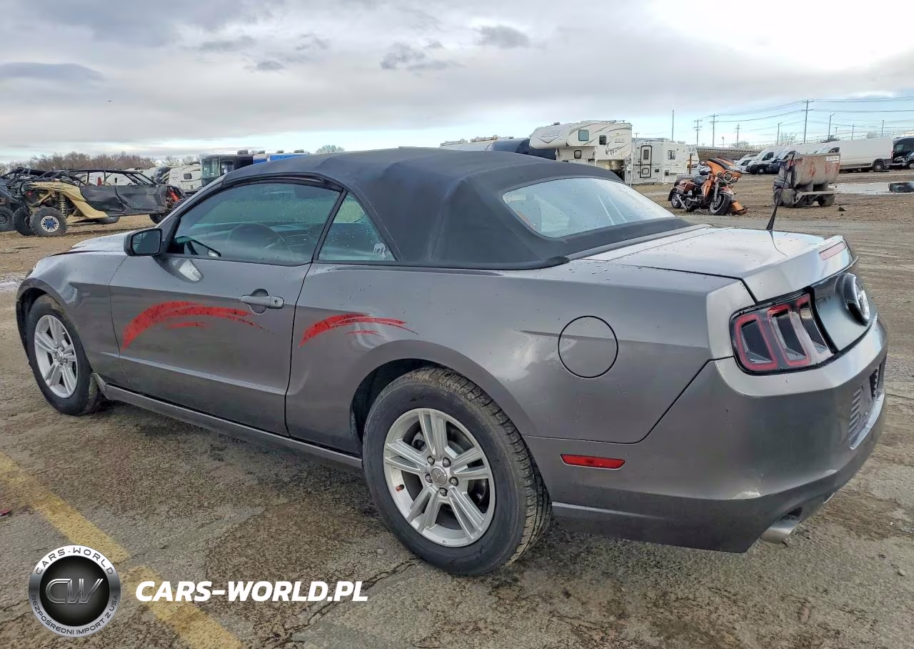 2014 Ford Mustang VIN:1ZVBP8EM6E5300096 - 2