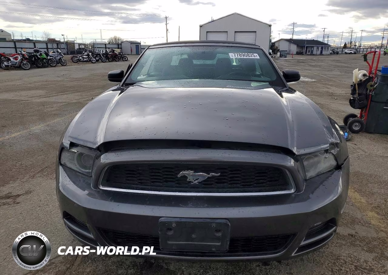 2014 Ford Mustang VIN:1ZVBP8EM6E5300096 - 5