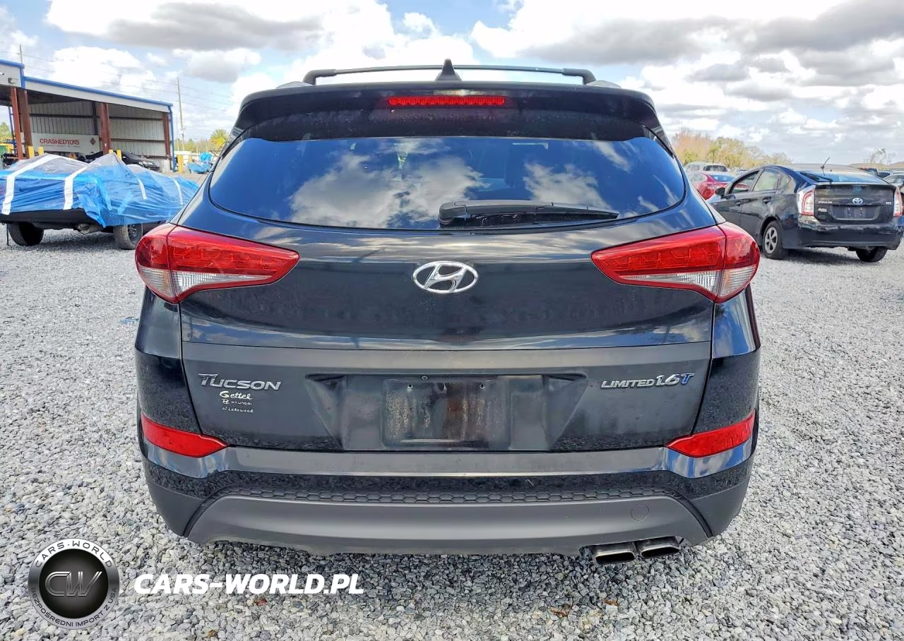 2016 Hyundai Tucson Limited VIN:KM8J33A2XGU256996 - 6