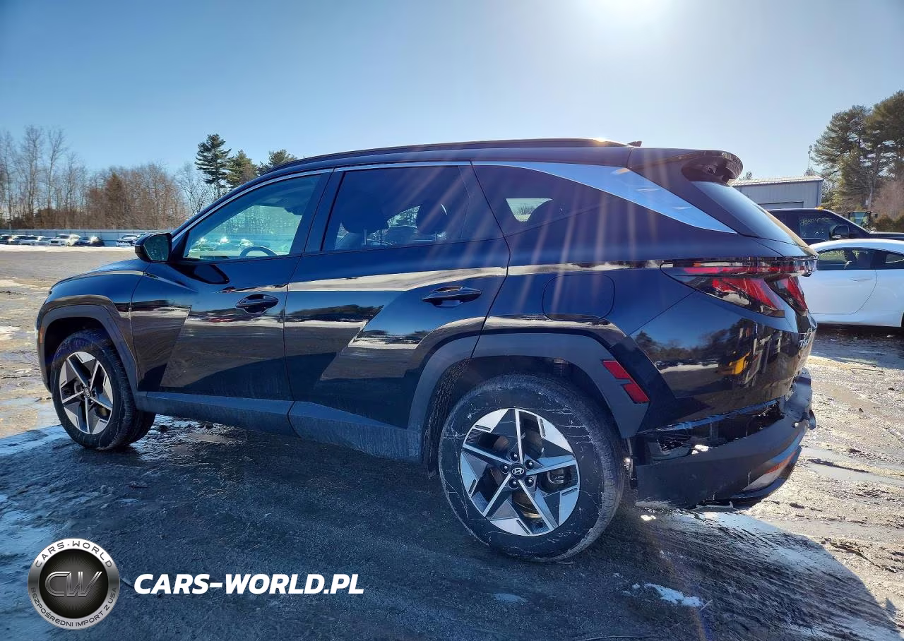 2025 Hyundai Tucson Sel VIN:3KMJBCDEXSE008409 - 2