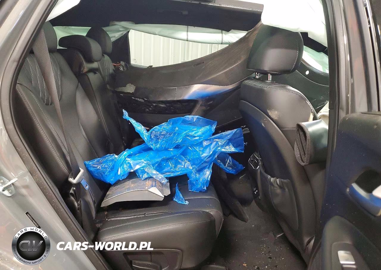 2021 Hyundai Santa Fe Calligraphy VIN:5NMS5DAL9MH355233 - 10
