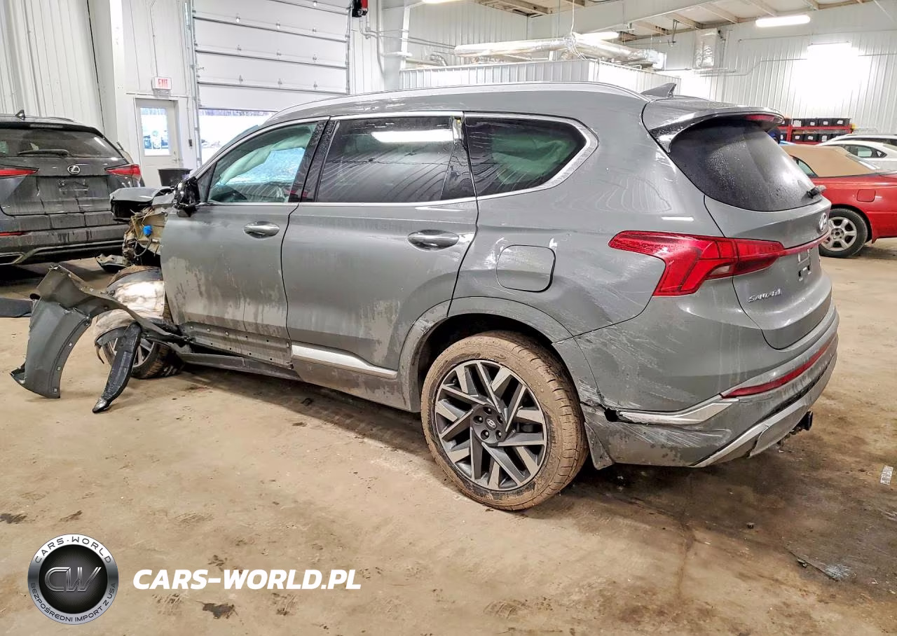 2021 Hyundai Santa Fe Calligraphy VIN:5NMS5DAL9MH355233 - 2