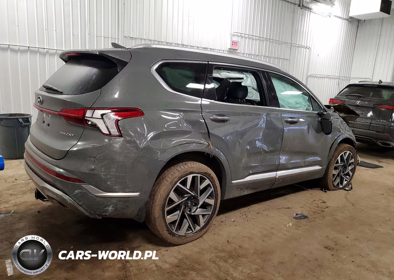 2021 Hyundai Santa Fe Calligraphy VIN:5NMS5DAL9MH355233 - 3