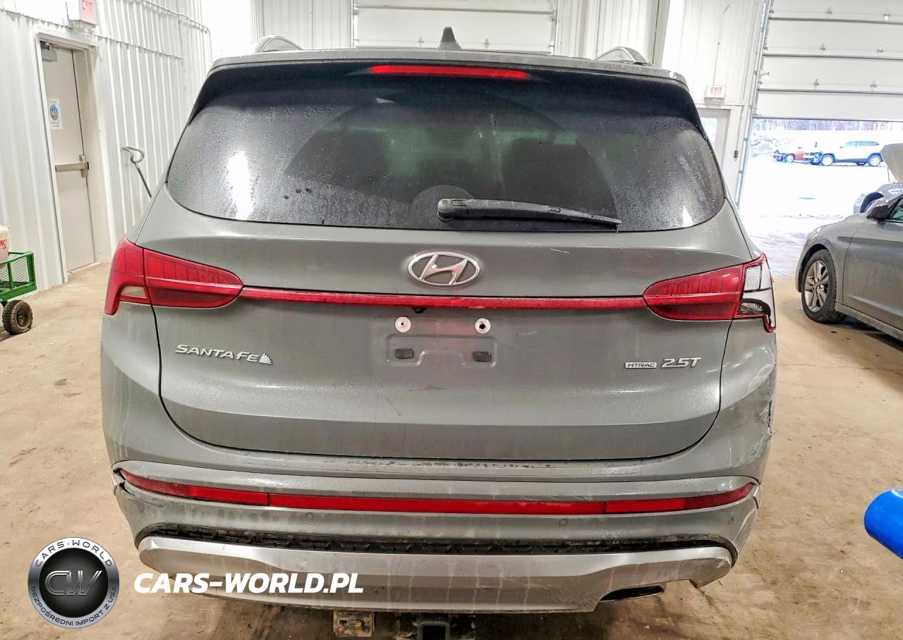 2021 Hyundai Santa Fe Calligraphy VIN:5NMS5DAL9MH355233 - 6