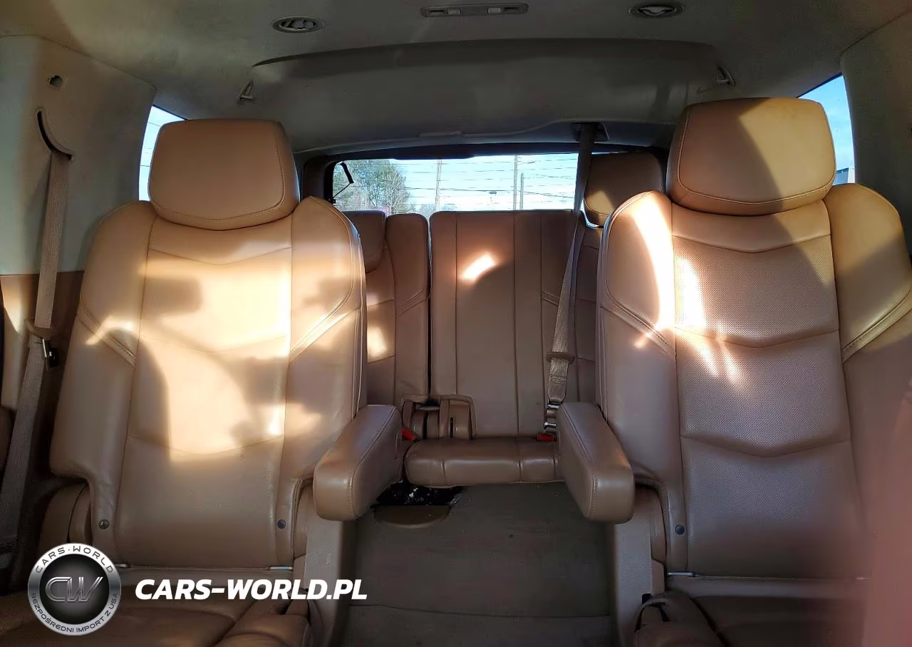 2016 Cadillac Escalade Platinum VIN:1GYS4DKJ5GR431069 - 10