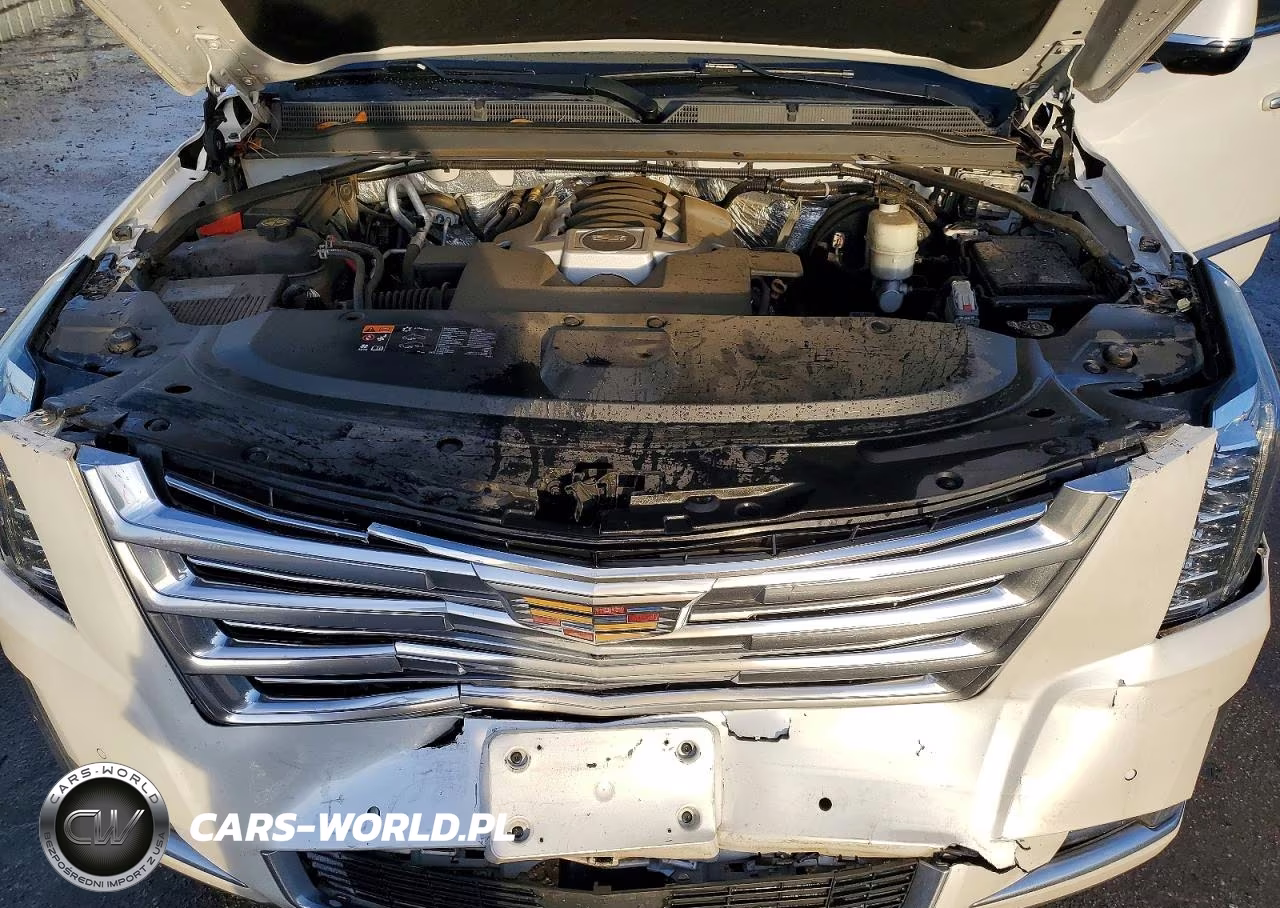 2016 Cadillac Escalade Platinum VIN:1GYS4DKJ5GR431069 - 12