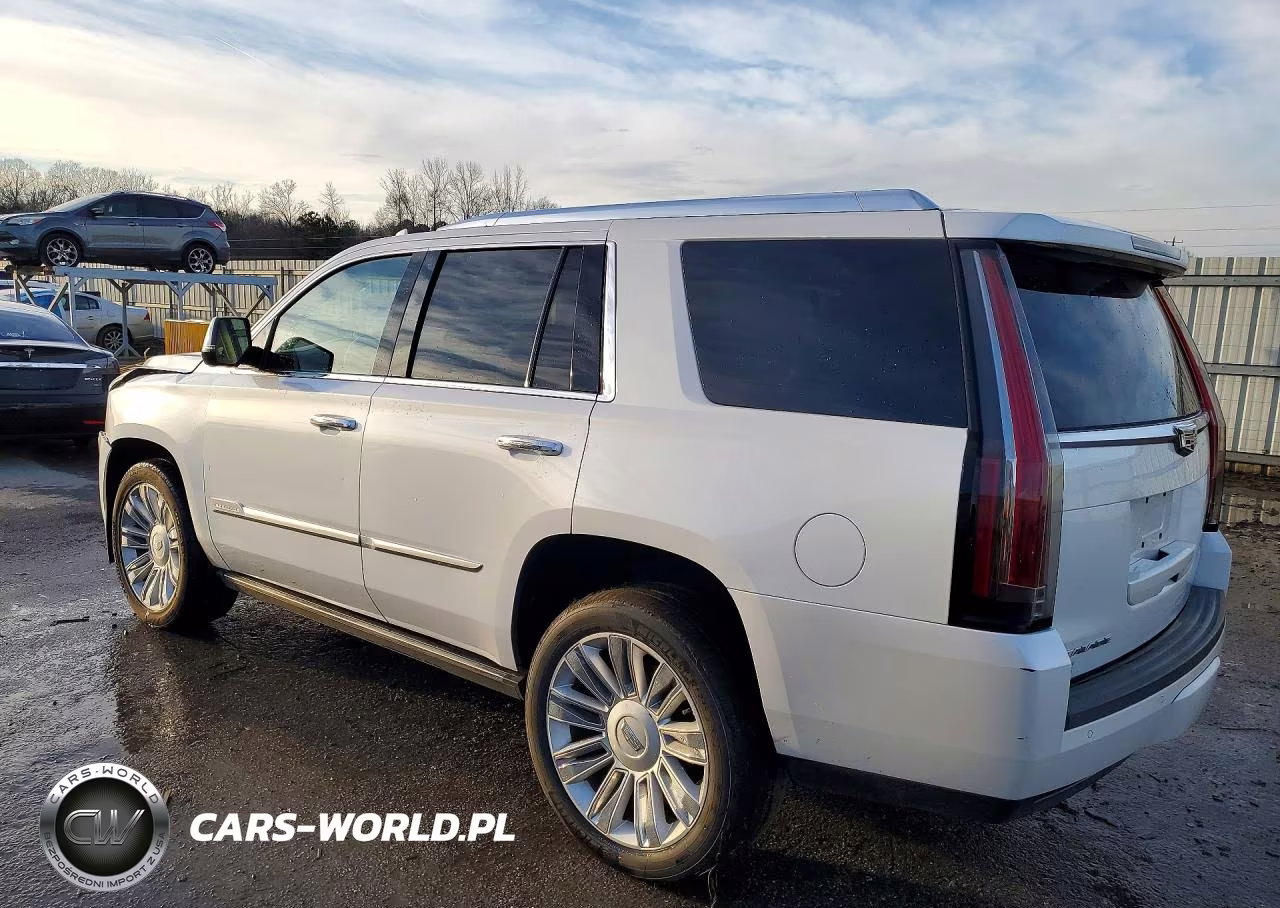 2016 Cadillac Escalade Platinum VIN:1GYS4DKJ5GR431069 - 2