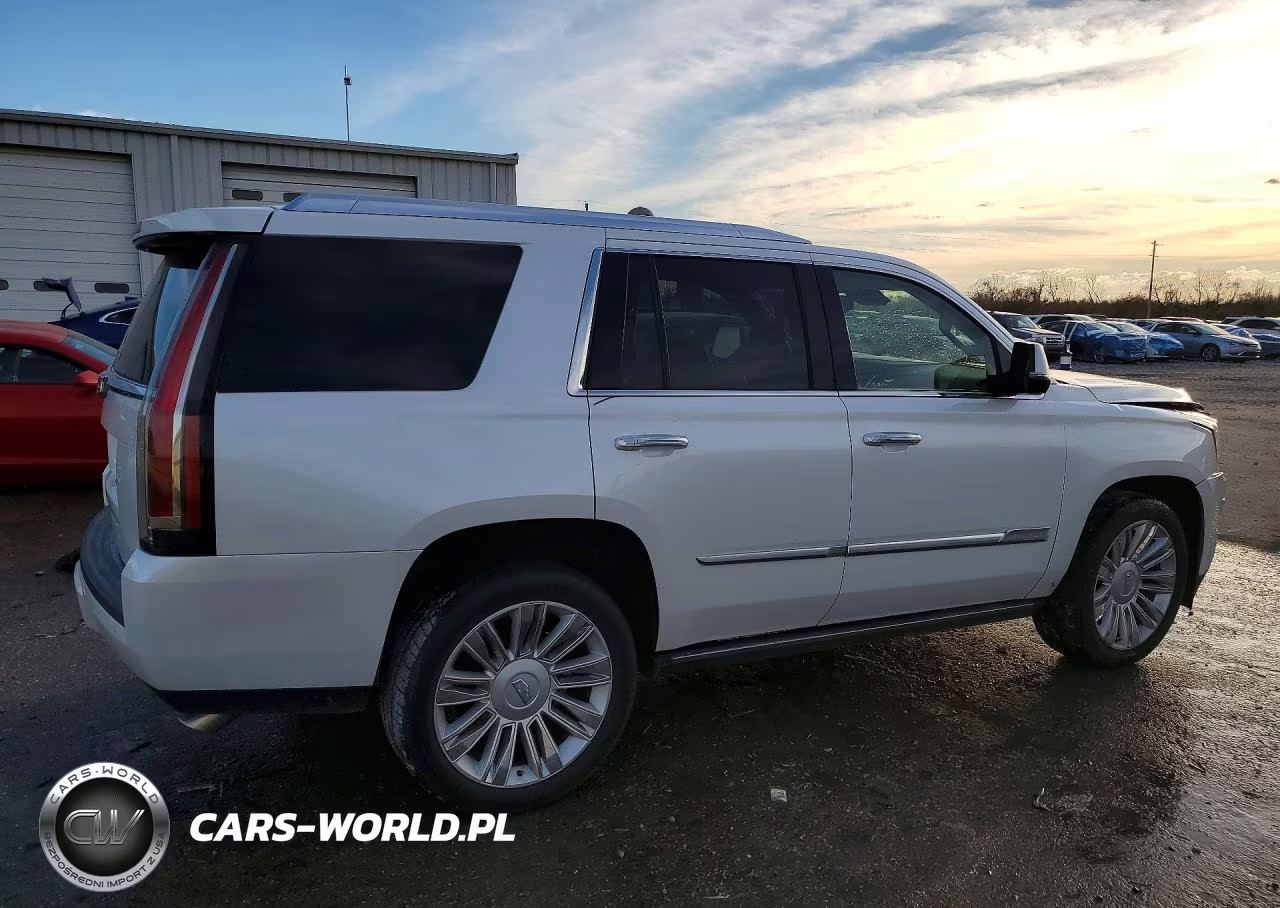 2016 Cadillac Escalade Platinum VIN:1GYS4DKJ5GR431069 - 3