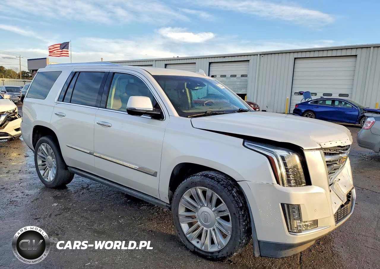 2016 Cadillac Escalade Platinum VIN:1GYS4DKJ5GR431069 - 4