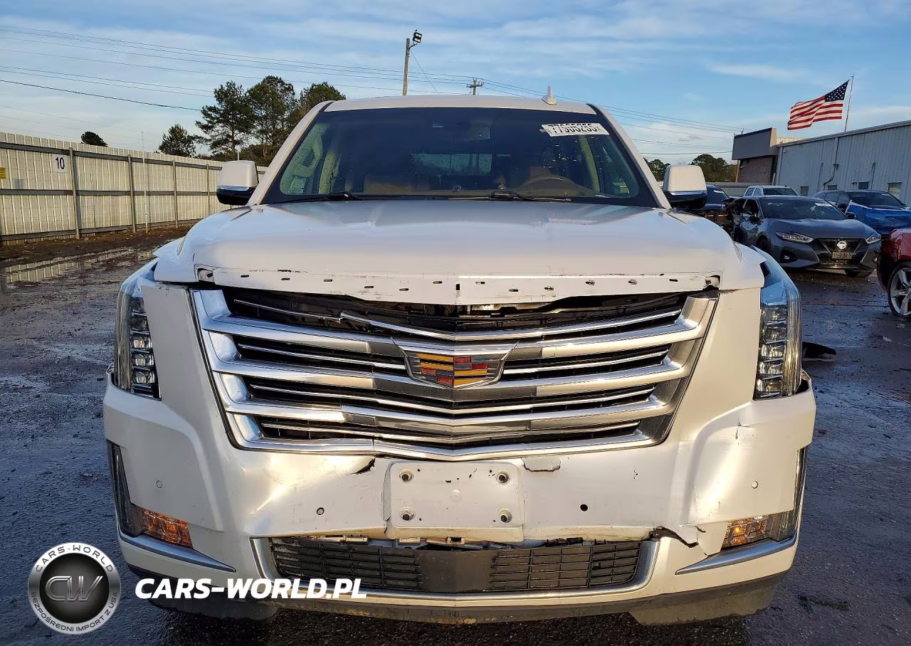 2016 Cadillac Escalade Platinum VIN:1GYS4DKJ5GR431069 - 5