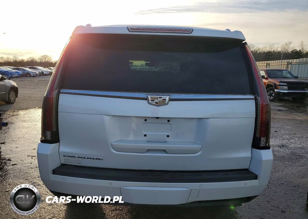 2016 Cadillac Escalade Platinum VIN:1GYS4DKJ5GR431069 - 6