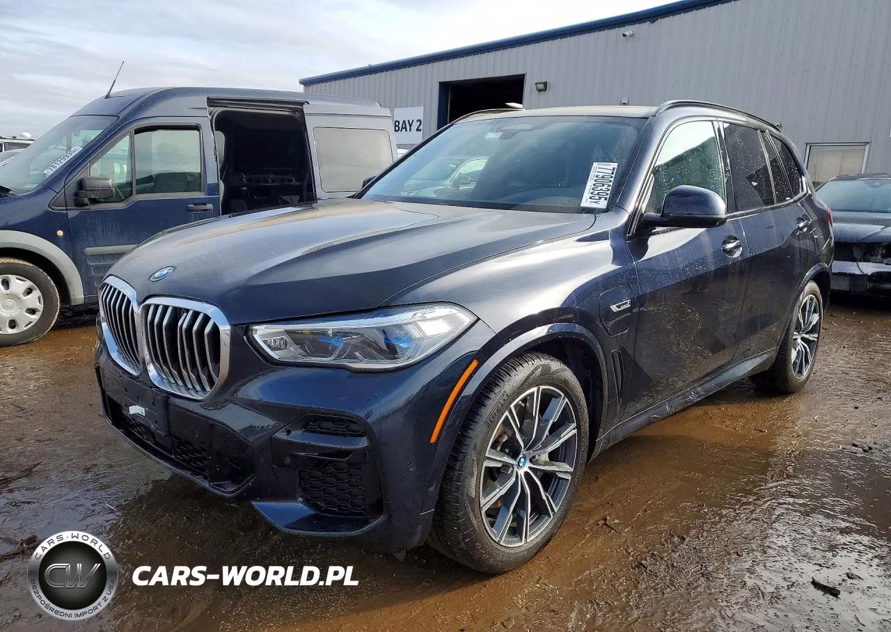 2023 BMW X5 xDrive45E VIN:5UXTA6C07P9R76046 - 1