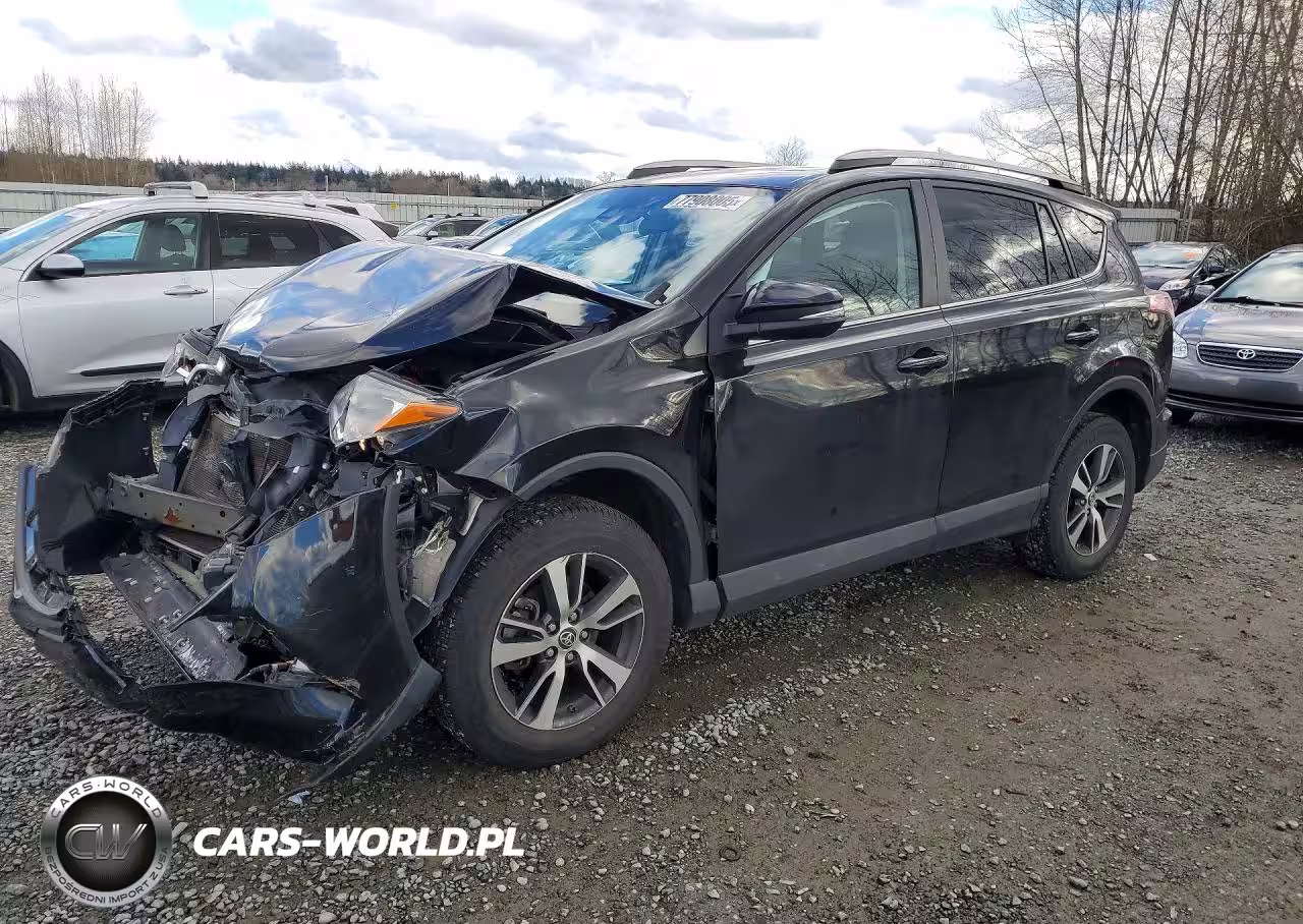 2018 Toyota Rav4 Adventure