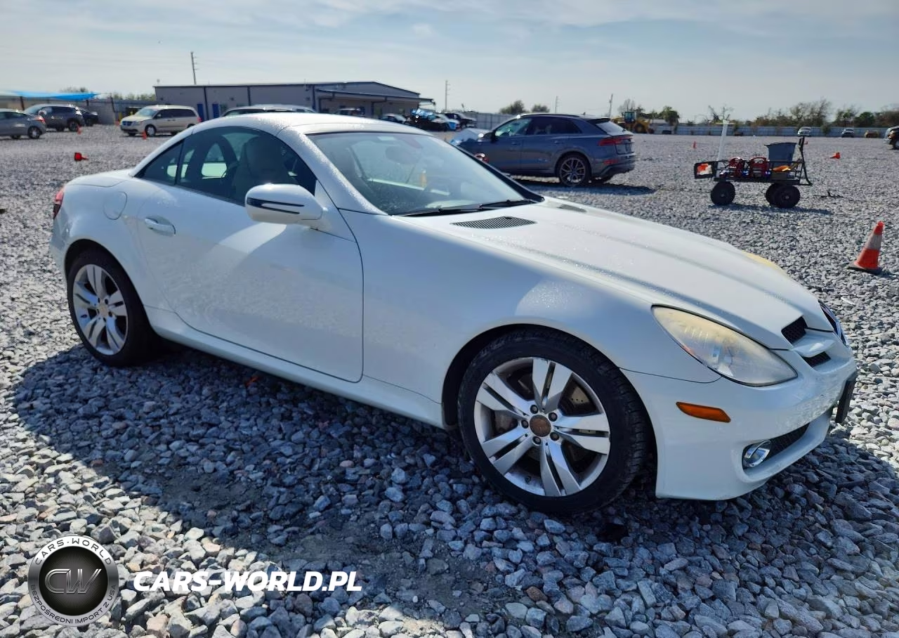 2009 Mercedes-Benz Slk 350 VIN:WDBWK58F29F190984 - 4