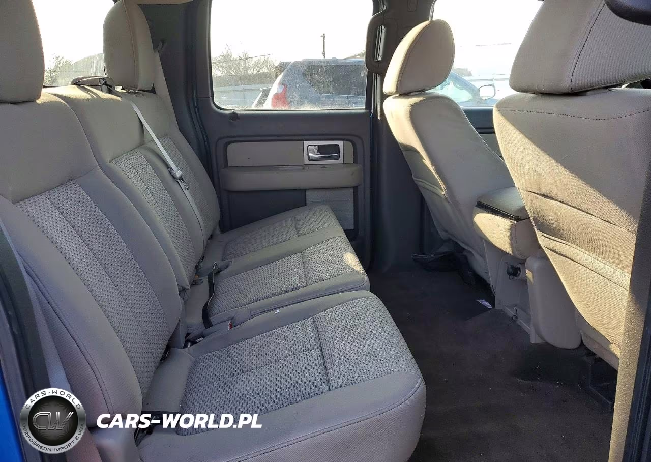 2010 Ford F150 Supercrew VIN:1FTEW1E84AFA61133 - 11