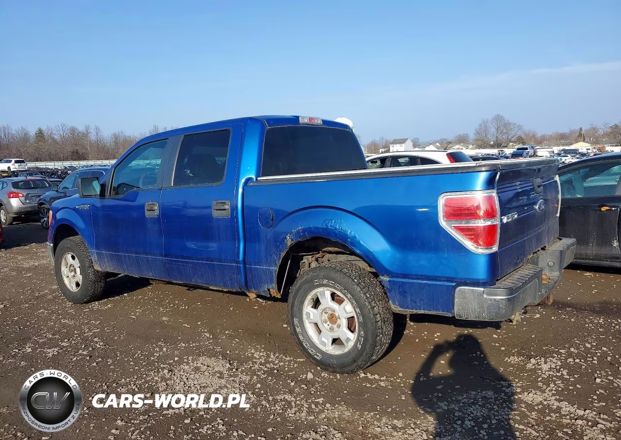 2010 Ford F150 Supercrew VIN:1FTEW1E84AFA61133 - 2