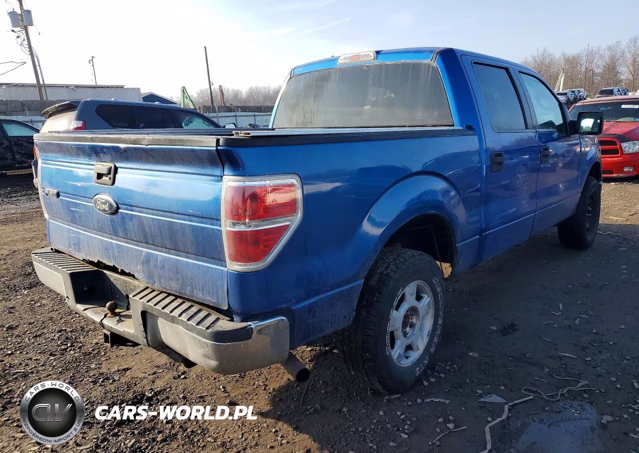2010 Ford F150 Supercrew VIN:1FTEW1E84AFA61133 - 3