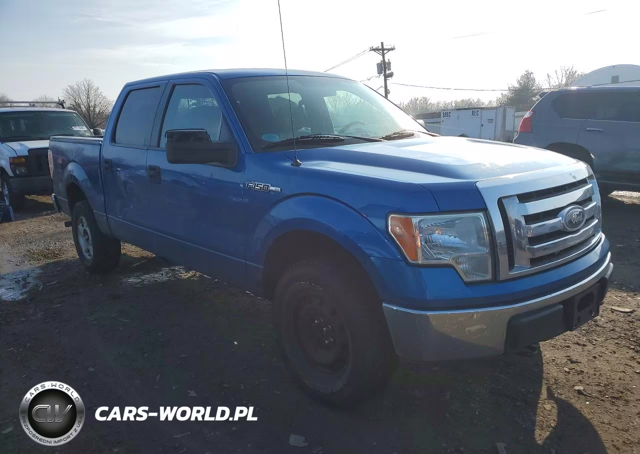 2010 Ford F150 Supercrew VIN:1FTEW1E84AFA61133 - 4
