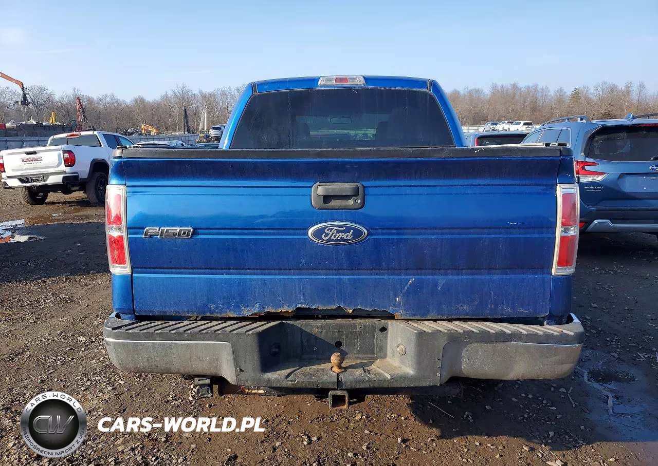 2010 Ford F150 Supercrew VIN:1FTEW1E84AFA61133 - 6