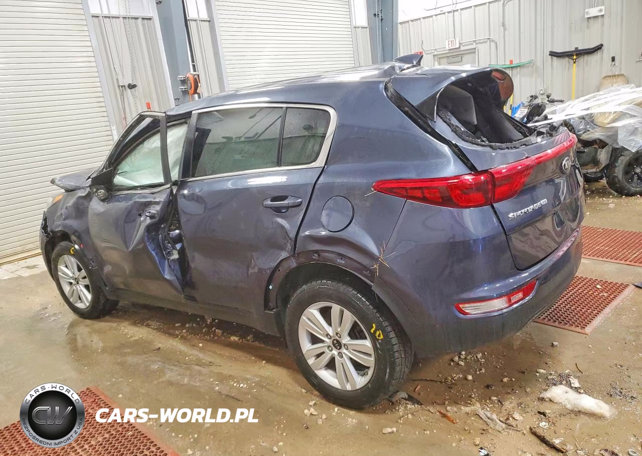 2019 Kia Sportage Lx VIN:KNDPM3AC0K7569325 - 2
