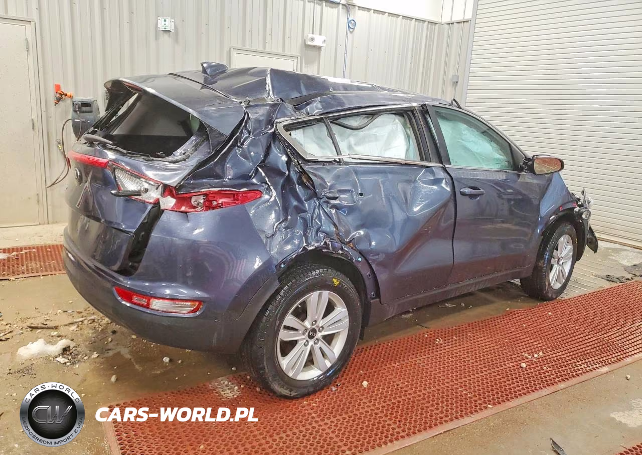 2019 Kia Sportage Lx VIN:KNDPM3AC0K7569325 - 3