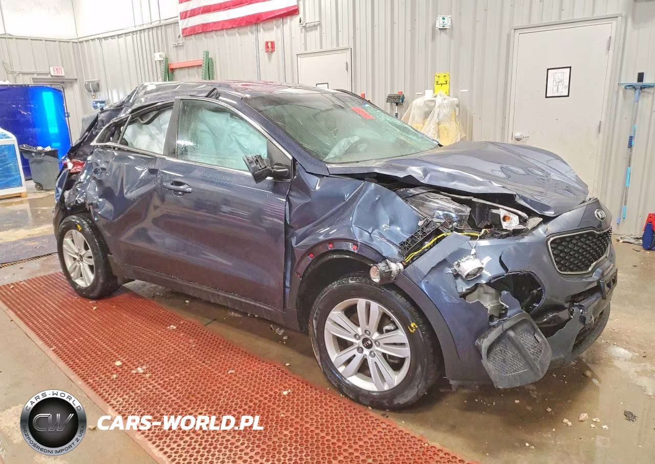 2019 Kia Sportage Lx VIN:KNDPM3AC0K7569325 - 4