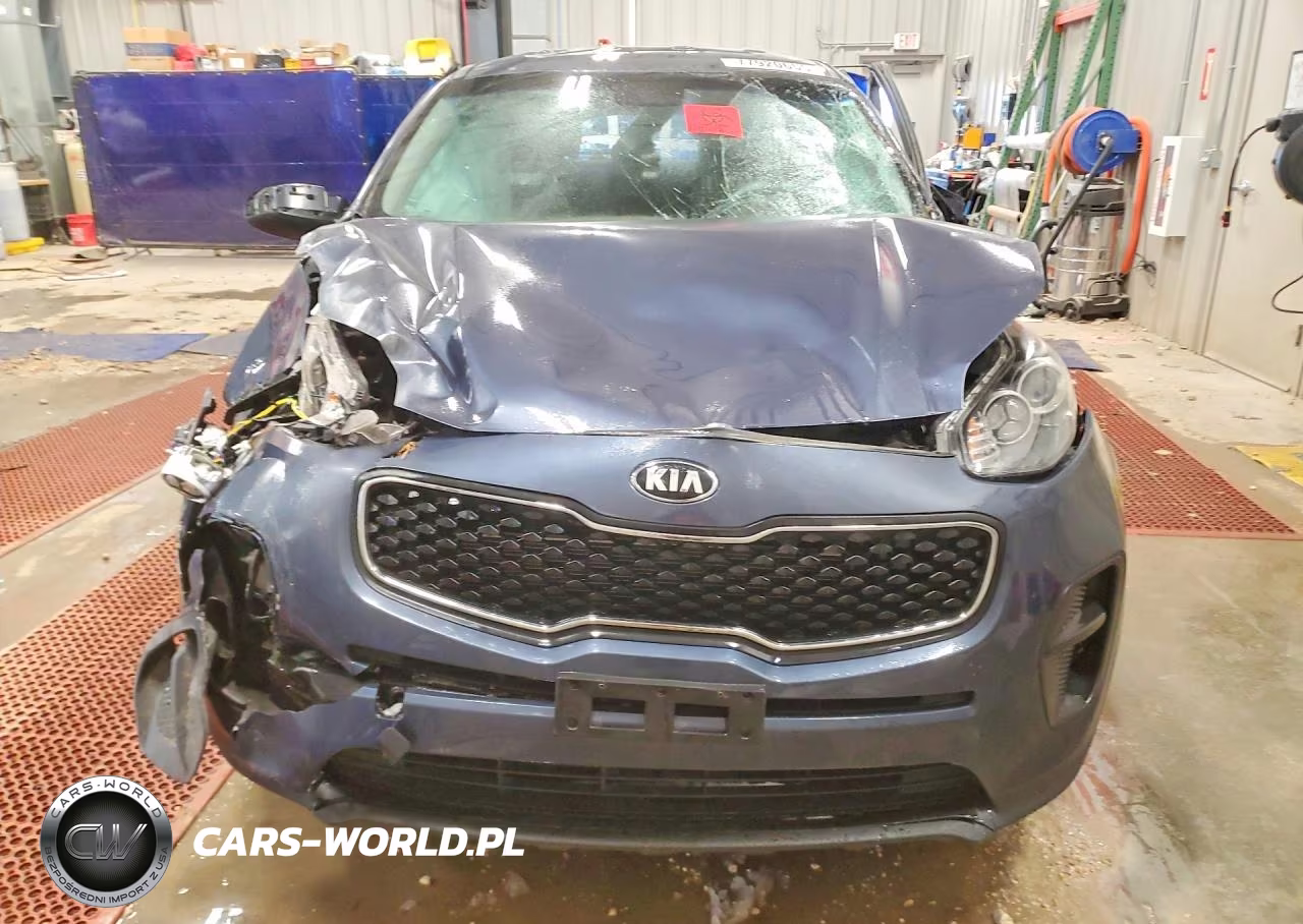 2019 Kia Sportage Lx VIN:KNDPM3AC0K7569325 - 5