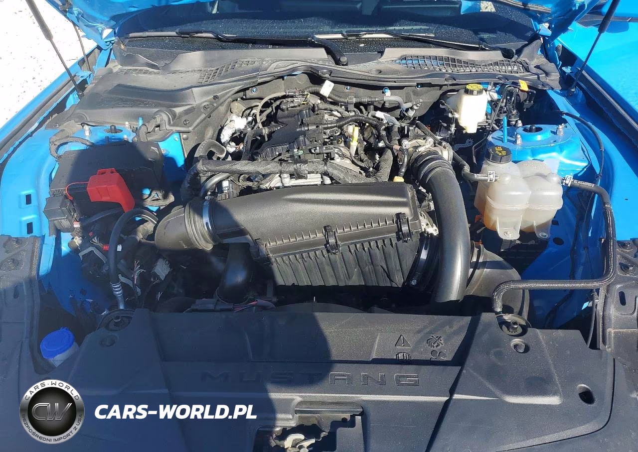 2025 Ford Mustang VIN:1FA6P8TH3S5112969 - 11
