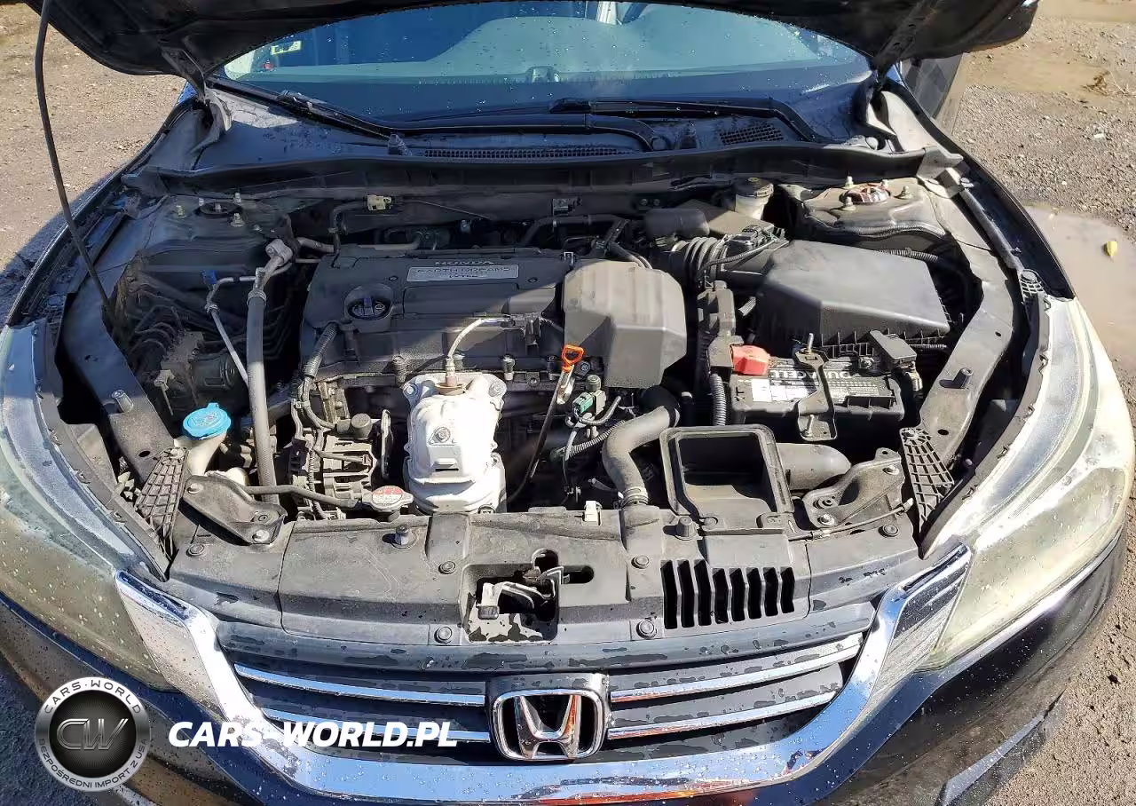 2013 Honda Accord Lx VIN:1HGCR2F38DA269025 - 11