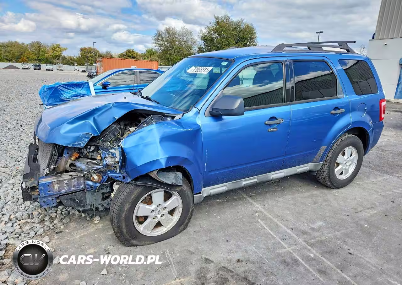 2010 Ford Escape Xlt