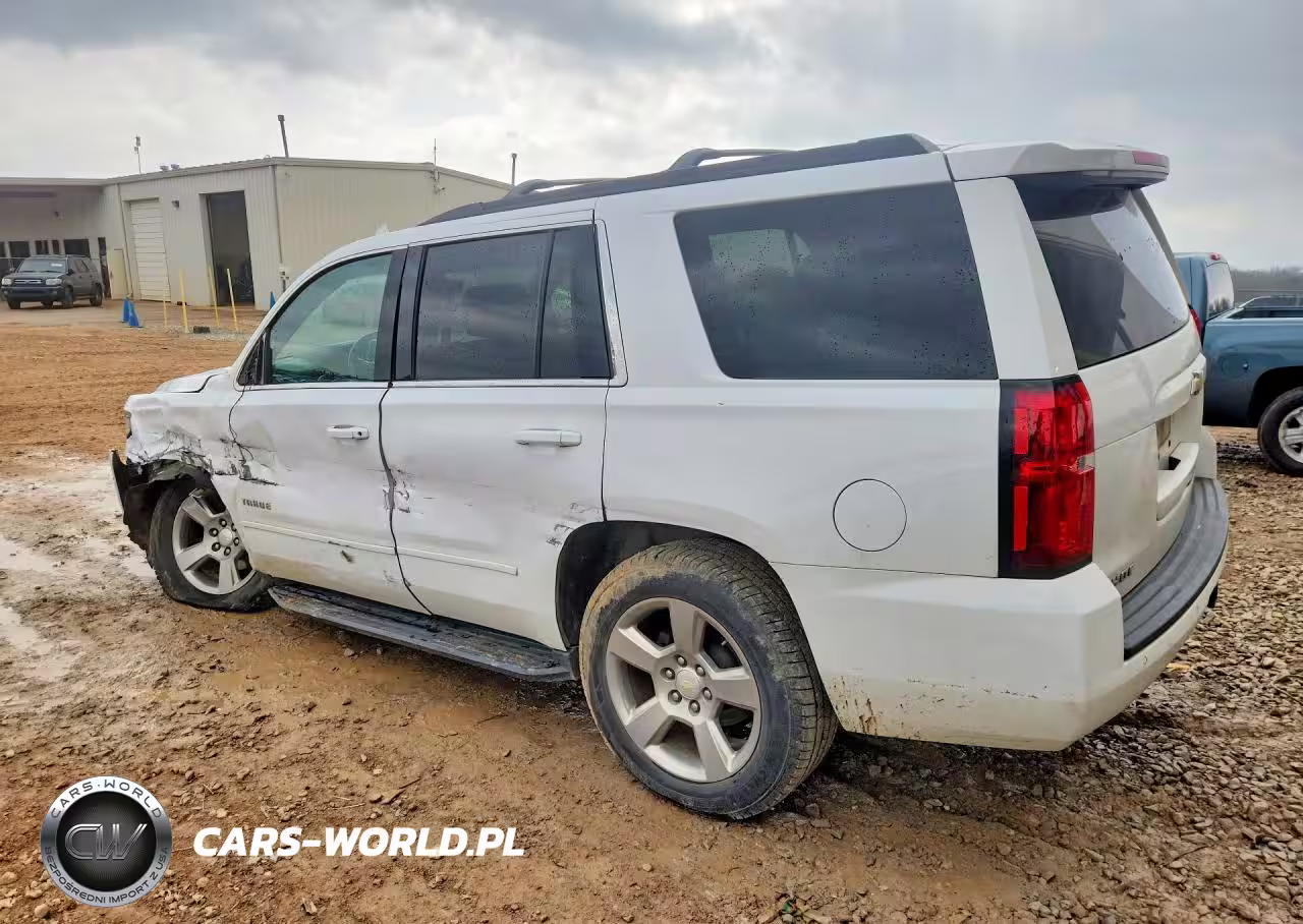 2019 Chevrolet Tahoe C1500 Ls VIN:1GNSCAKC1KR101972 - 2