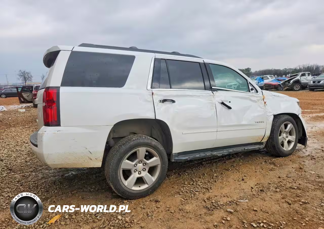 2019 Chevrolet Tahoe C1500 Ls VIN:1GNSCAKC1KR101972 - 3