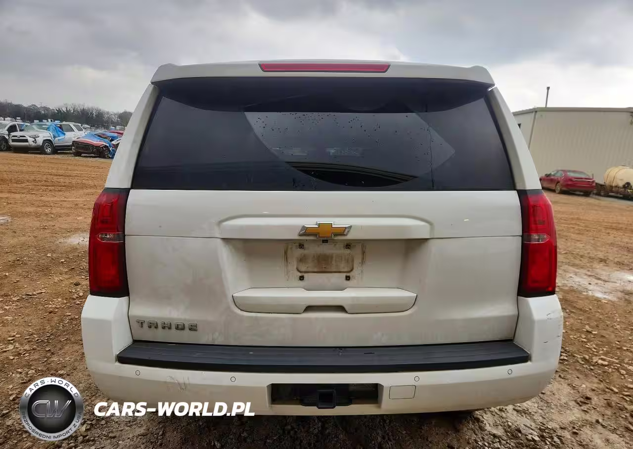 2019 Chevrolet Tahoe C1500 Ls VIN:1GNSCAKC1KR101972 - 6
