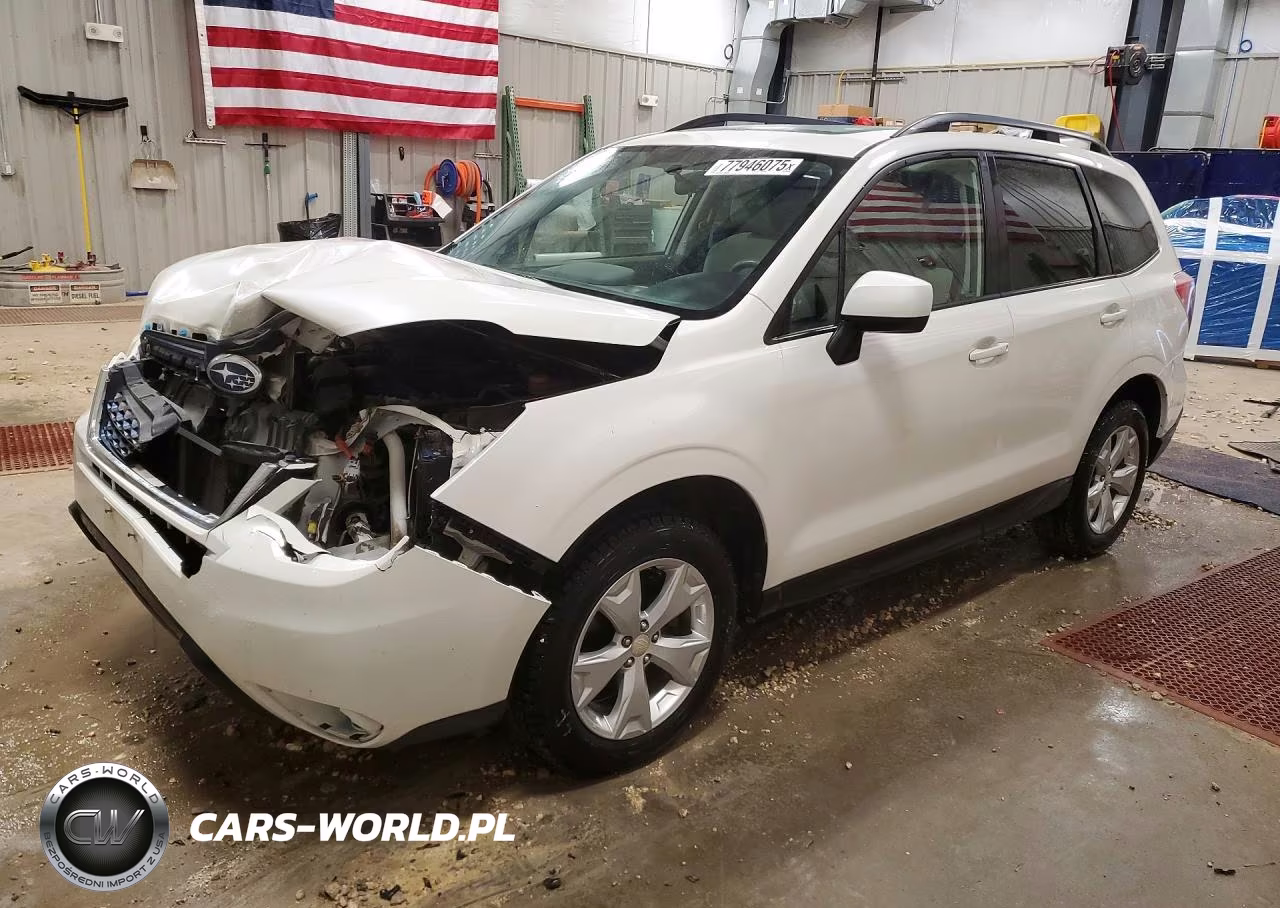 2016 Subaru Forester 2.5I Premium VIN:JF2SJADC2GH506085 - 1