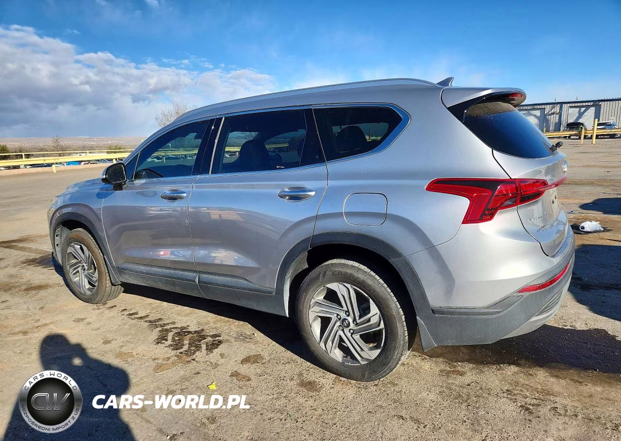 2023 Hyundai Santa Fe Sel VIN:5NMS2DAJ1PH572447 - 2