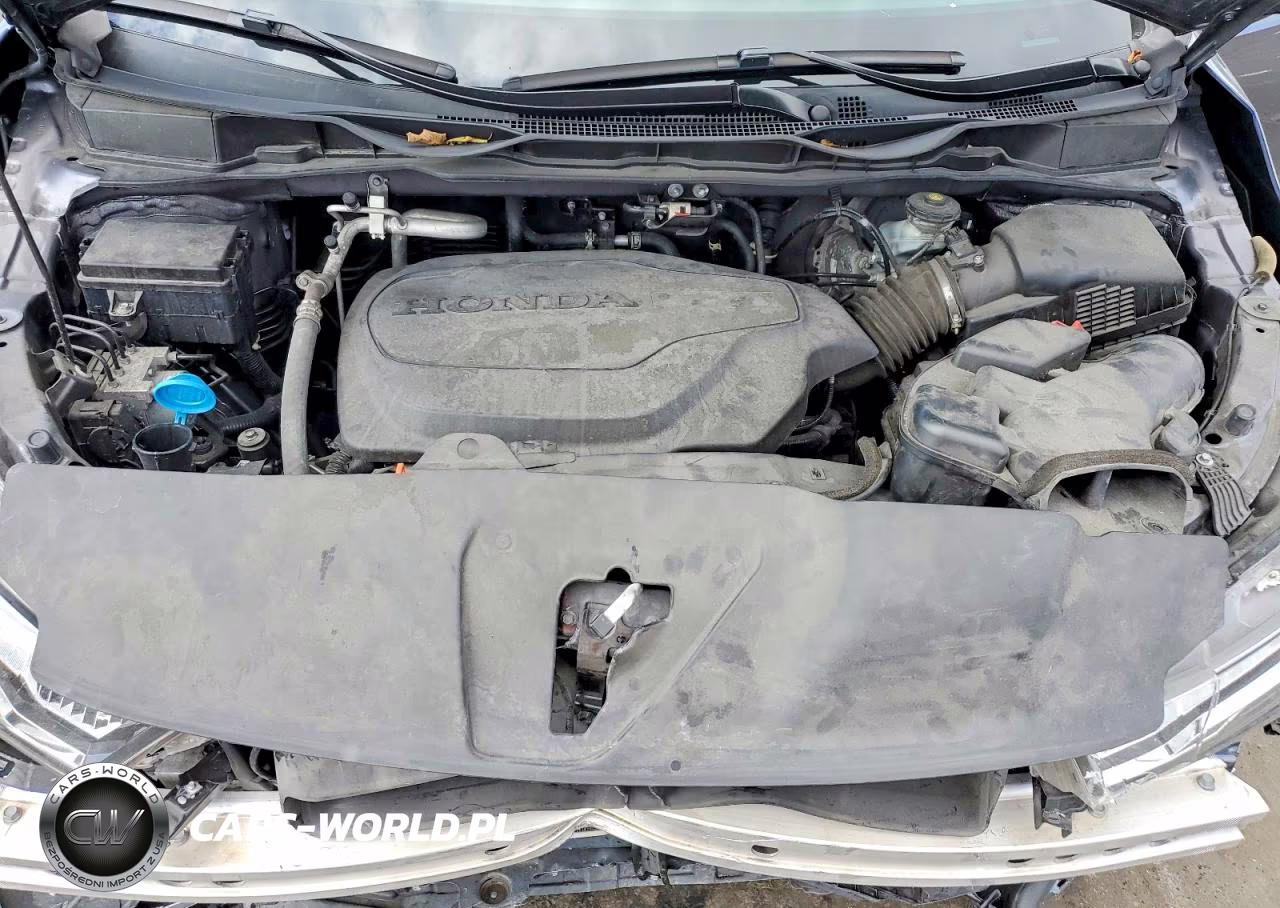 2024 Honda Odyssey Exl VIN:5FNRL6H61RB025434 - 12