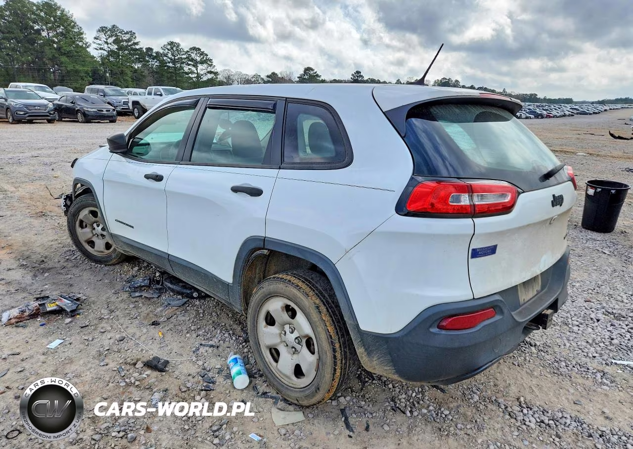 2014 Jeep Cherokee Sport VIN:1C4PJLAB9EW170424 - 2