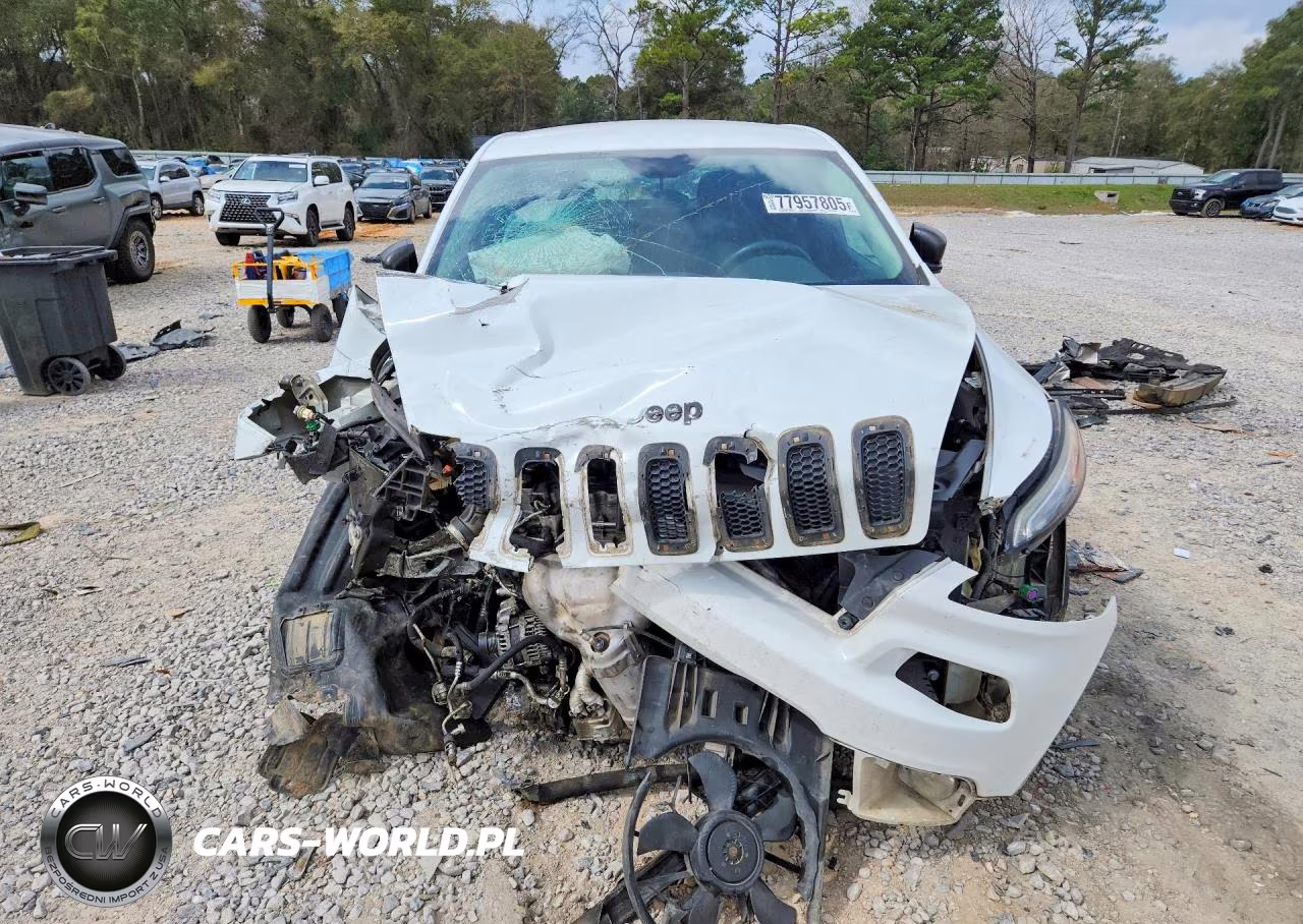 2014 Jeep Cherokee Sport VIN:1C4PJLAB9EW170424 - 5